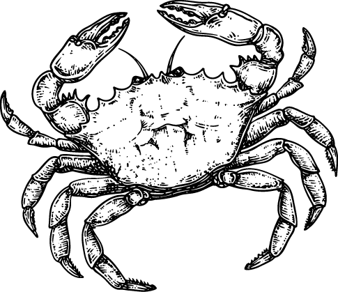 A line drawing of a crab